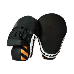 Boxing Pads